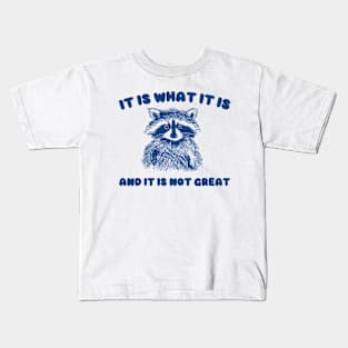 It Is what it is and it is not great, Cartoon Meme Top, Vintage Cartoon Sweater, Unisex Kids T-Shirt